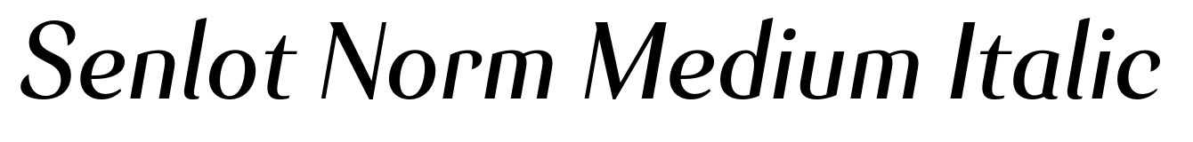 Senlot Norm Medium Italic